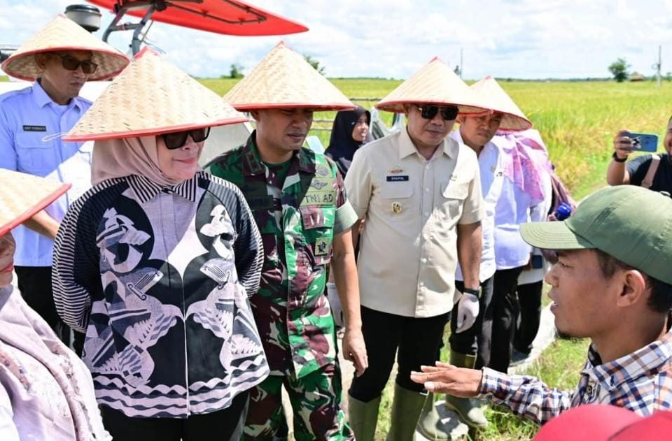 Dalam Rangka Panen Raya Bersama Presiden Prabowo, Pemkab Lamsel Kunjungi Panen Padi di Sidomulyo