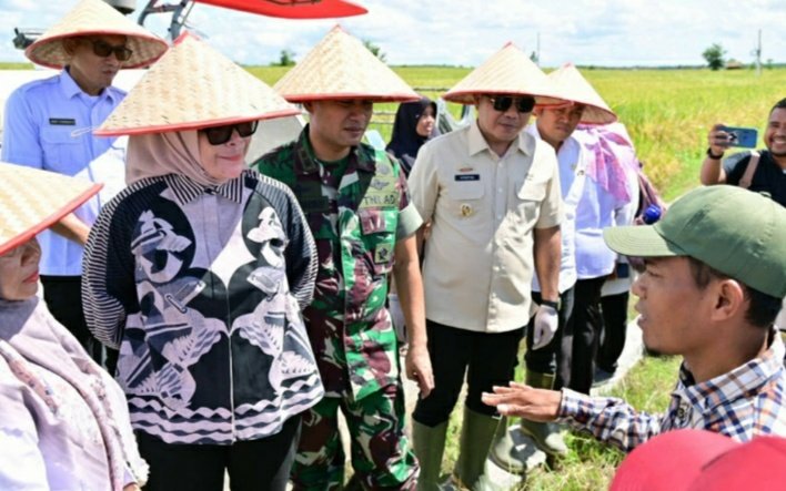 Pemkab Lamsel Ikuti Panen Raya di 14 Provinsi Bersama Presiden Prabowo
