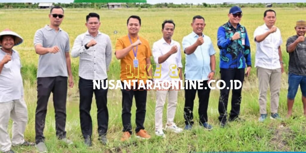 Padi Biosalin, Inovasi Cerdas Ubah Tambak Asin Jadi Sawah Produktif di Lampung Selatan