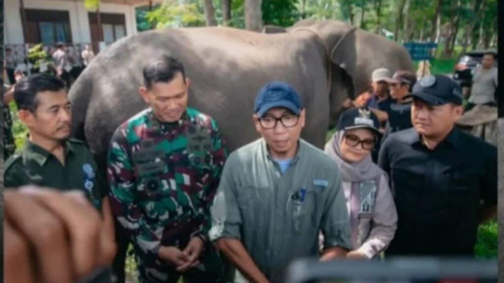 Prisiden Prabowo Kucurkan Rp 839 Miliar untuk Taman Nasional Way Kambas,Gubernur Mirza:Alhamdulilah Perjuangan Membuahkan Hasil