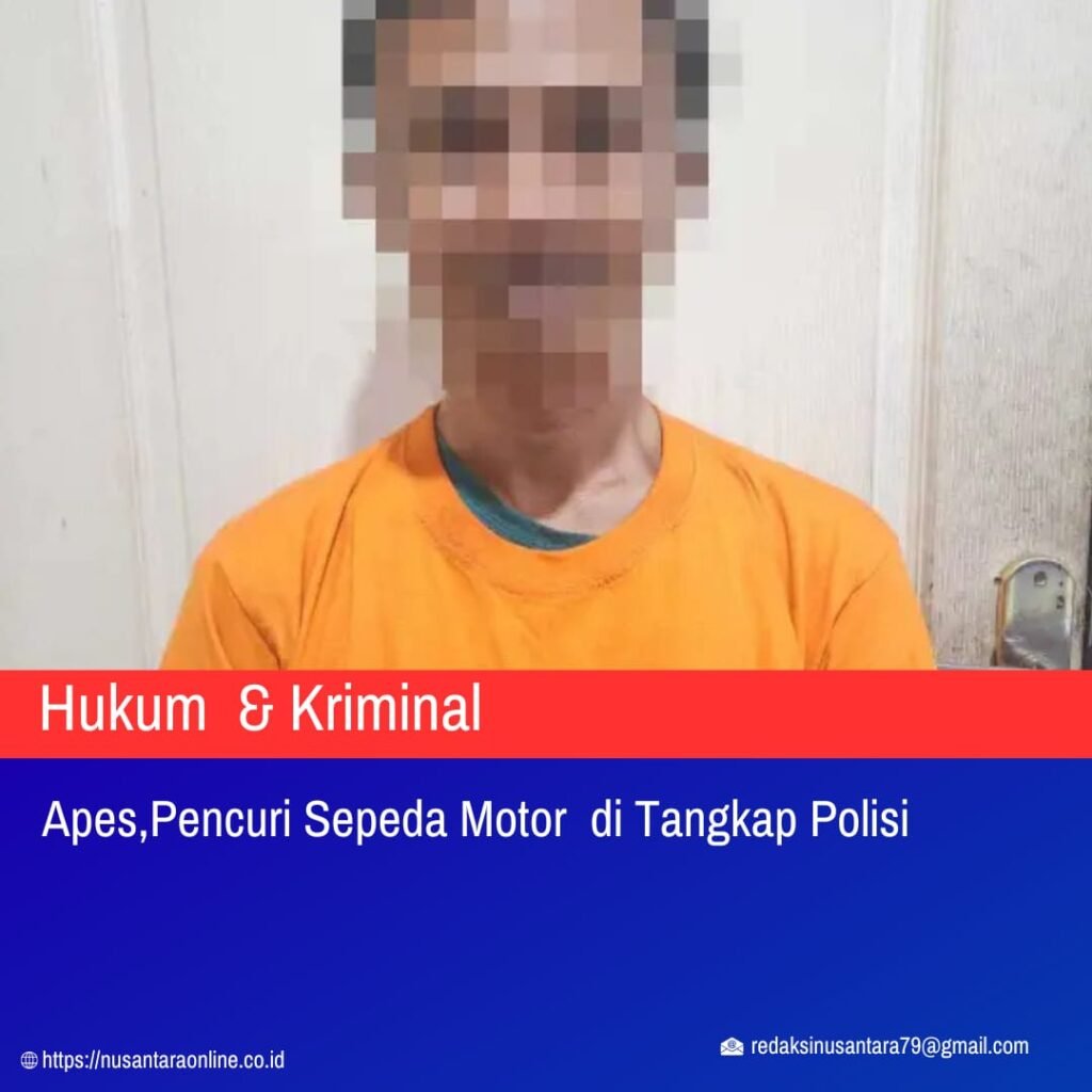 Apes Pelaku Pencuri Sepeda Motor di Tangkap Polisi