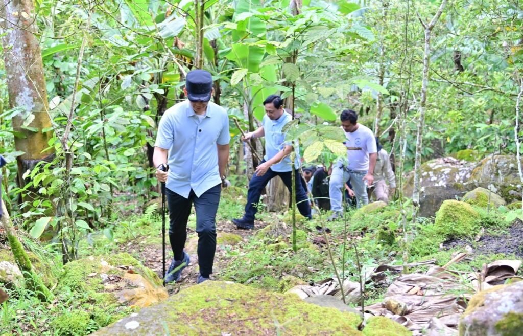 Longsor Gunung Rajabasa: Bupati Egi Naik 3 Km, Tanam Pohon Cegah Bencana Susulan